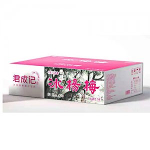 君成記冰楊梅果蔬汁飲料380mlX24杯OEM代加工