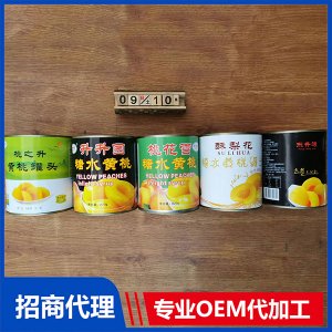 升升園水果罐頭 黃桃獼猴桃草莓葡萄820g罐裝水果罐頭OEM 罐頭代工源頭廠家