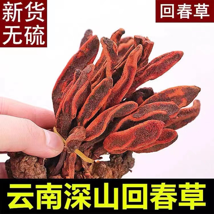 云南澤廣生物科技有限公司