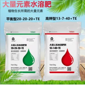 高鉀平衡型果樹蔬菜花卉用沖施肥貼牌OEM/ODM