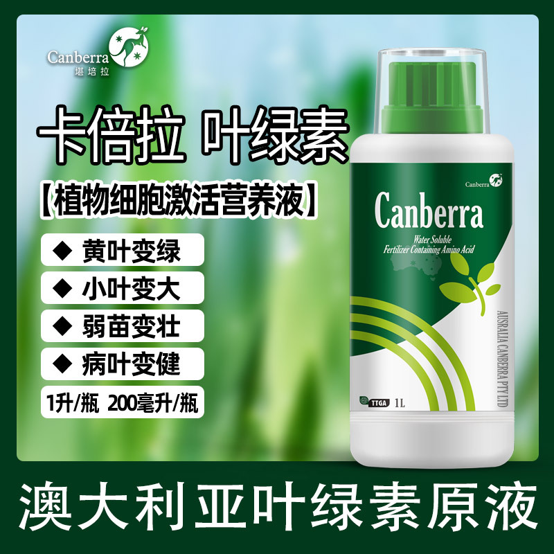 植物葉綠素果樹蔬菜快速轉(zhuǎn)綠專用微量元素貼牌OEM/ODM