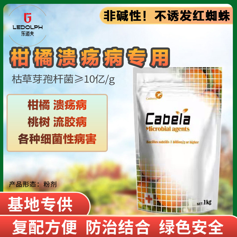 真細菌病害通用微生物菌劑OEM/ODM定制代加工