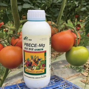 普蓓醇鎂鈣鎂硼鋅葉面肥 鎂肥鈣肥代加工貼牌OEM/ODM