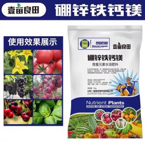微量元素水溶肥 水果蔬菜水溶肥代加工貼牌OEM/ODM