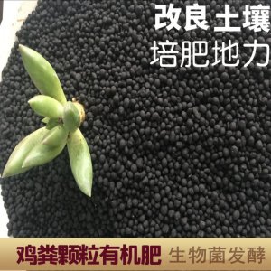 石家莊百稼興肥業(yè)有限公司