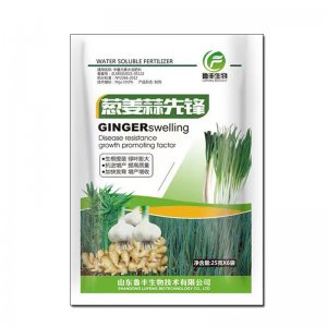 魯豐蔥姜蒜先鋒葉面肥促根壯苗膨大根莖強力增產肥可OEM/ODM代工
