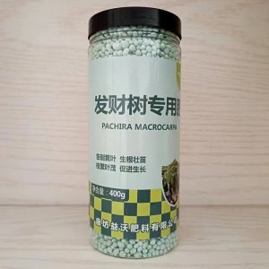 發財樹專用肥發財樹肥料綠蘿發財樹多肉專用肥盆栽復合肥花肥家用OEM代加工