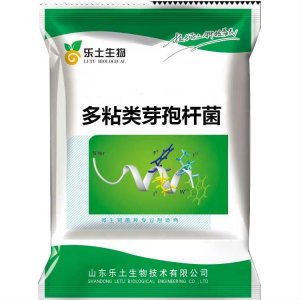 多粘類芽孢桿菌OEM/ODM定制代加工
