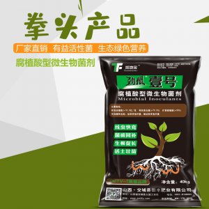 田豐化工(山西)集團(tuán)股份有限公司