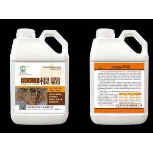 河北堅(jiān)豐農(nóng)業(yè)科技有限公司