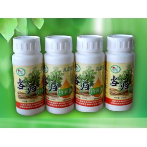 當歸營養液OEM代加工