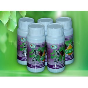 甘肅綠能農業科技股份有限公司