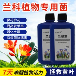 蘭靈王蘭花專用營養(yǎng)液肥料可OEM/ODM代工