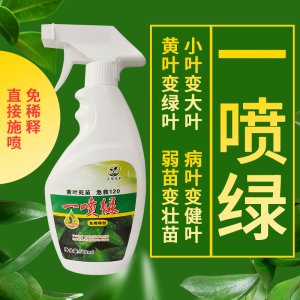 通用型黃葉變綠免稀釋營養(yǎng)液貼牌OEM/ODM