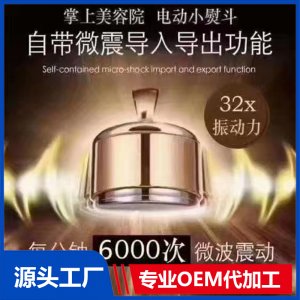 韻植顏電動小熨斗