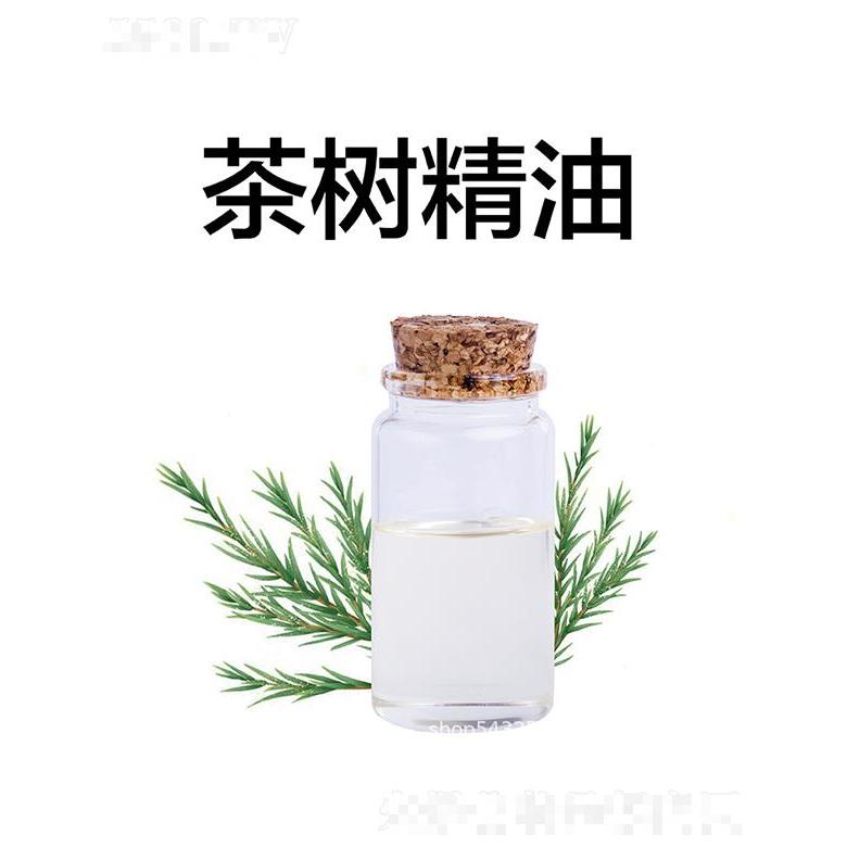 天竺茶樹精油