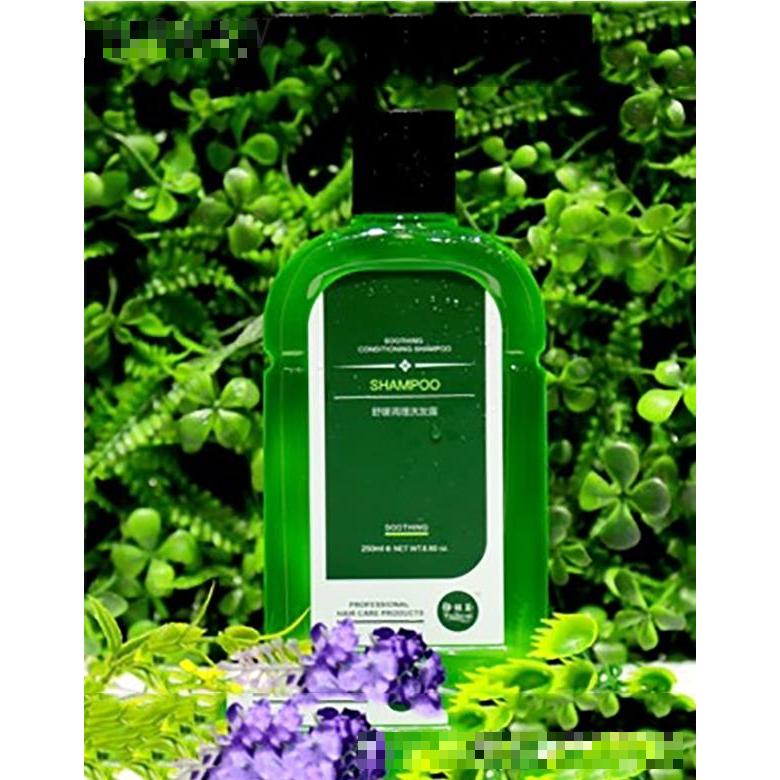 伊絲彩舒緩調(diào)理洗發(fā)露 清爽芬芳