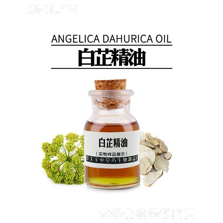 華天寶白芷精油