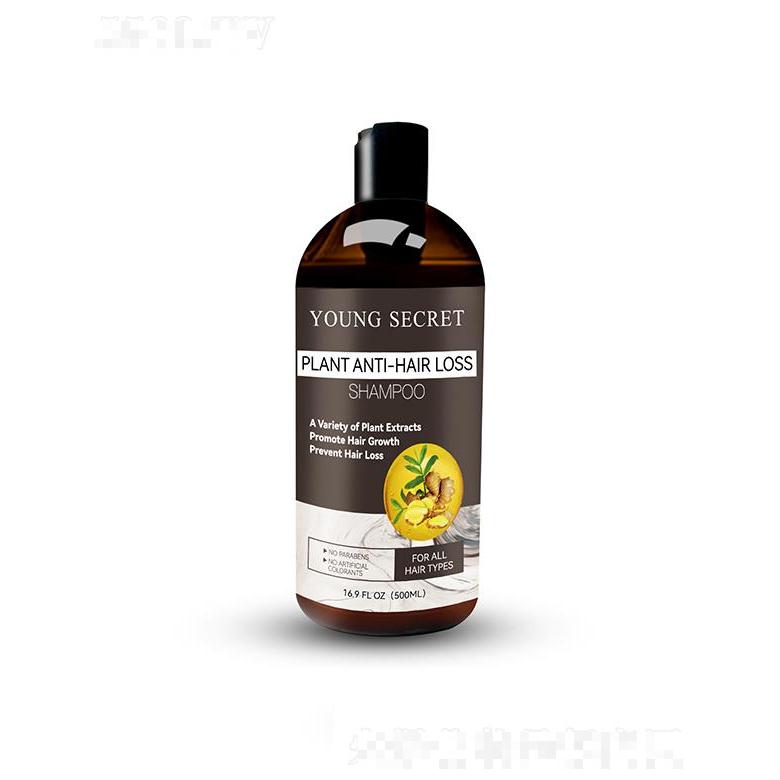 華儂洗發水  生姜滋養毛囊  控油去屑止癢  增發密發洗發露