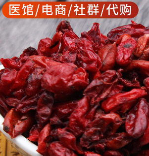 山萸肉 中藥材OEM代加工