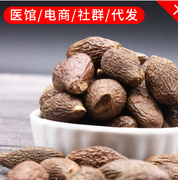 胖大海大粒 散裝胖大海茶OEM代加工