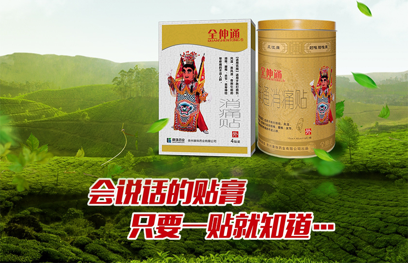 貴州康珠藥業有限公司