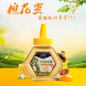 阜陽市慶蜂蜂業有限公司