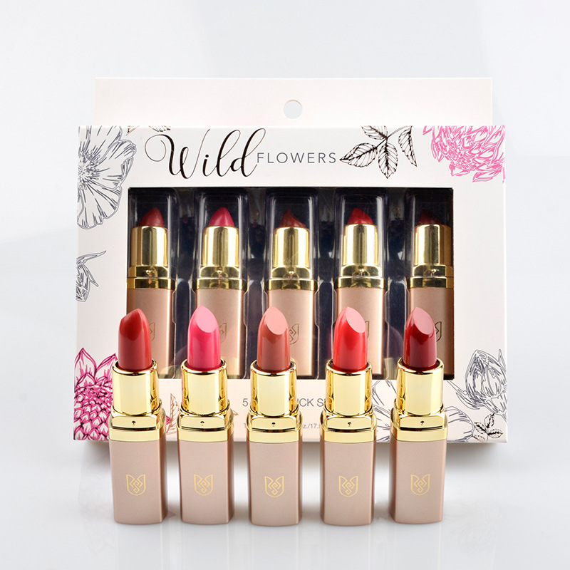 Rose Sally口紅套裝學(xué)生平價(jià)五只裝國(guó)貨唇膏套盒彩妝廠家現(xiàn)貨批發(fā)OEM代加工