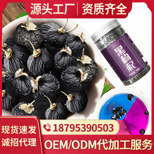 黑枸杞一件代發