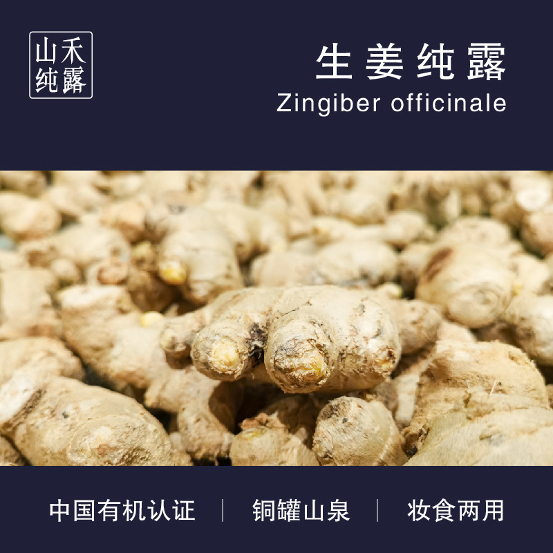 三伏天養生姜露劑功能飲料 有機生姜純露OEM代加工