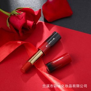 sysryb網(wǎng)紅款啞光口紅唇釉唇彩唇蜜oem代加工