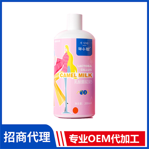 源自新疆的發(fā)酵乳 那小駝乳酸菌駝奶批發(fā)廠家