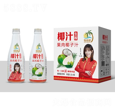 致養(yǎng)道生榨椰子汁植物蛋白飲料1.25LX6OEM代加工