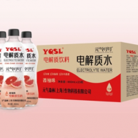 元氣叮叮電解質水西柚味OEM代加工