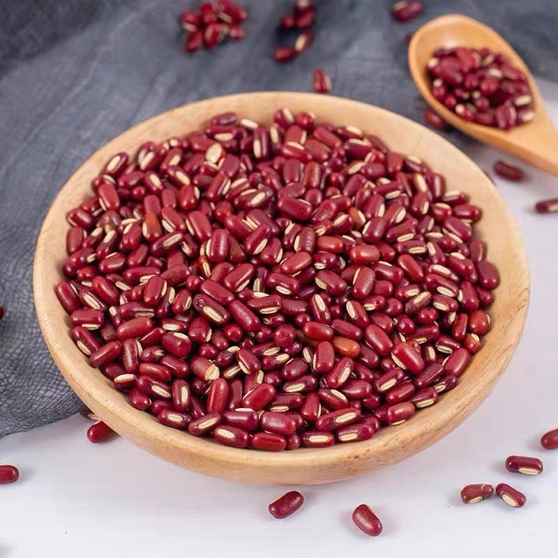 廠家批發正宗赤小豆 低溫烘焙赤小豆 紅豆薏米茶豆漿打磨原料OEM代加工