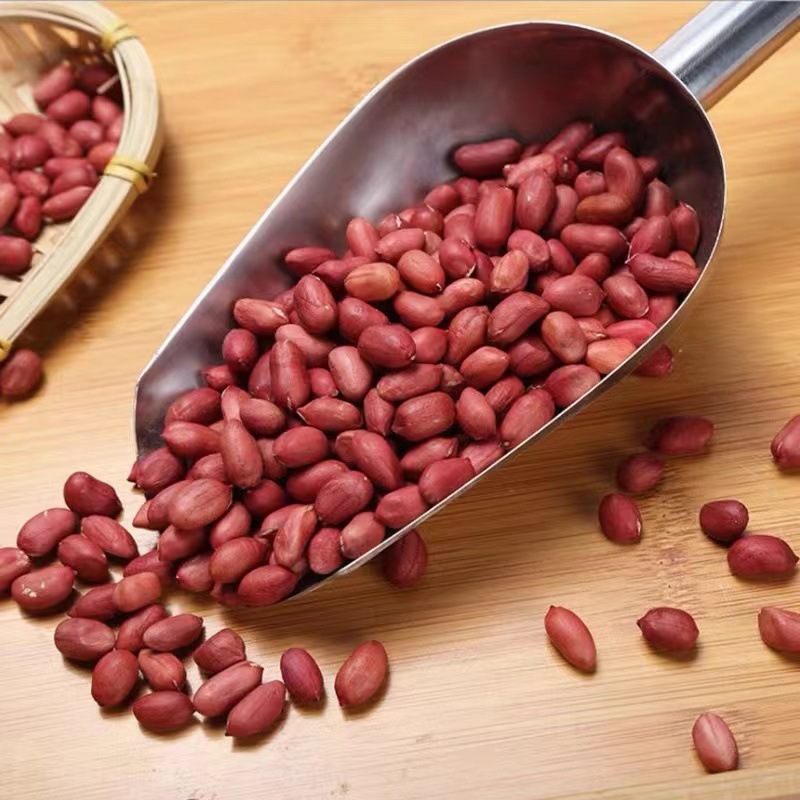 現磨五谷雜糧豆漿粉專用原料 廠家供應紅皮花生 低溫烘培熟花生米OEM代加工