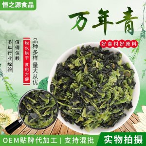脫水蔬菜萬年青 散裝脫水干菜涼拌菜 脫水菜心 批發(fā)供應量大價優(yōu)