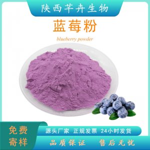 藍(lán)莓粉食品級 藍(lán)莓提取物 水溶藍(lán)莓果粉 藍(lán)莓汁 濃縮粉 廠家現(xiàn)貨