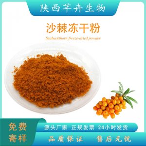 沙棘凍干粉99% 沙棘果提取物 食品級沙棘鮮果粉 冷凍干燥100g包郵