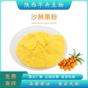 沙棘粉99% 沙棘噴霧粉 水溶沙棘果粉 沙棘提取物 廠家現(xiàn)貨1KG包郵
