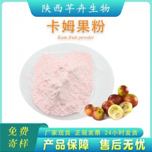 卡姆果粉 99% 卡姆果汁粉 卡姆果提取物 卡姆梅萃取汁粉 現貨包郵