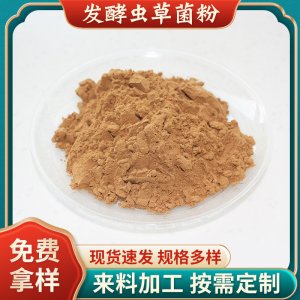 現貨批發蟲草菌粉99%蛹蟲草提取蝙蝠蛾擬青霉粉CS-4發酵蟲草菌粉