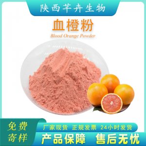血橙粉99% 血橙果粉 速溶 血橙果汁粉 食品級 固體飲料 1公斤包郵