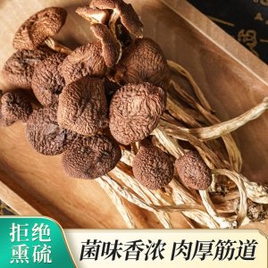 廠家現貨茶樹菇干貨批發家用商用煲湯炒菜袋裝干茶樹菇一件代發