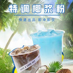 廠家批發速溶椰奶粉椰汁拿鐵奶茶店椰子粉楊枝甘露原料商用速溶