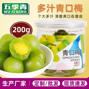 清口梅涼果罐裝零食蜜餞200gOEM代加工