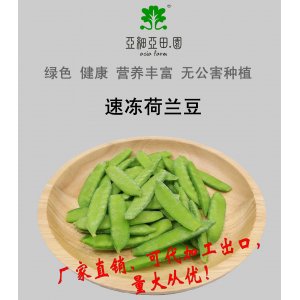速凍荷蘭豆；出口品質冷凍蔬菜；批發代加工(OEM)；工廠 產地直銷