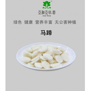 速凍馬蹄(荸薺)出口冷凍蔬菜.價格面議批發(fā)代加工OEM；工廠直銷