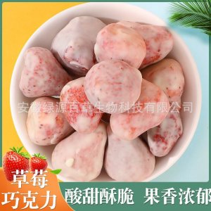 草莓巧克力 酸奶草莓 草莓片 凍干草莓涂層網紅零食小吃 即食小吃