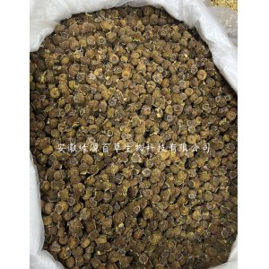 廠家批發貴州刺梨干散裝刺梨干果 野生刺梨脫刺選貨泡水泡酒 代發